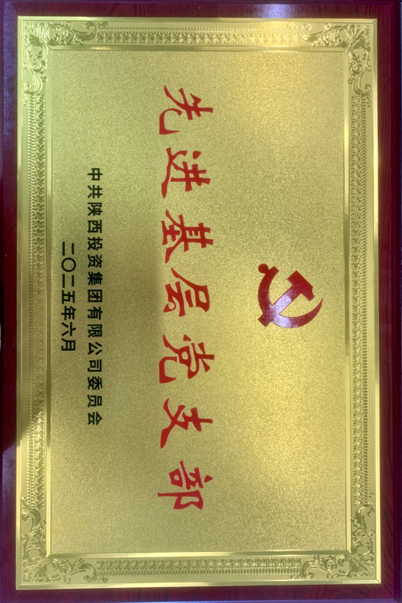 秦汉通航党支部荣获陕投集团&ldquo;先进基层党组织&rdquo;称号